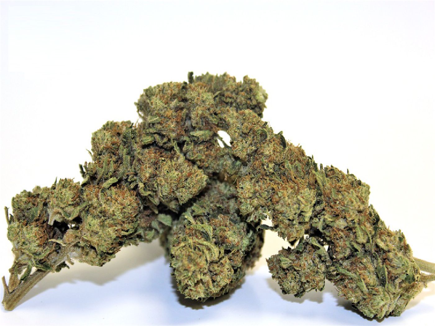 Купить марихуану в санкт петербурге в какой стране выращивают коноплю
